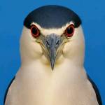 每日一闻 Profile Picture